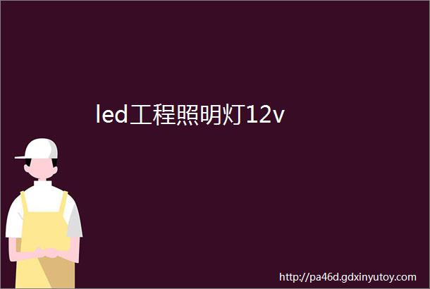 led工程照明灯12v